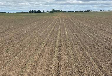 Drought in AH Worth field