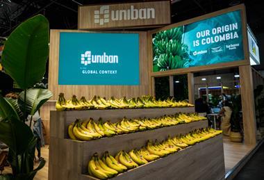 Uniban Logistik - kolumbianische Bananen noch schneller nach Europa