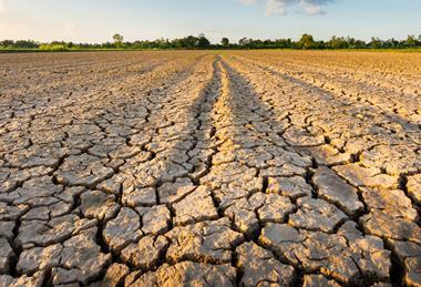 Drought