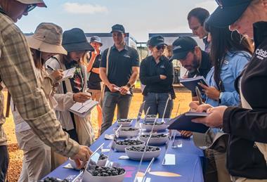 Costa Group BluGenix blueberry tasting