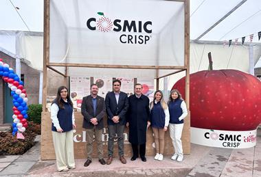 Cosmic Crisp event