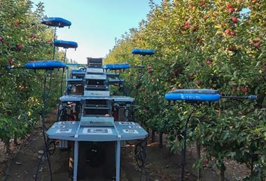 CL Tevel Flying Autonomous Robots Harvesting-Apples Unifrutti