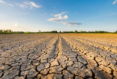 The report urges importers to prepare for increasingly frequent extreme weather events in supply regions
