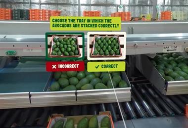 Avocados Australia VR supply chain training programme
