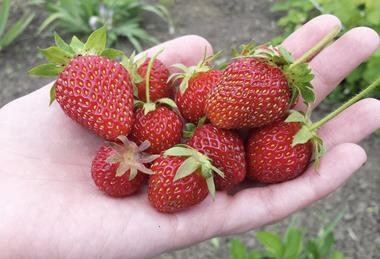 Screenshot 2025-11-17 at 11.53.22