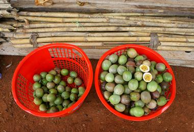 Vietnamese passionfruit