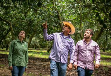 Las Tarcascas Jalisco avos