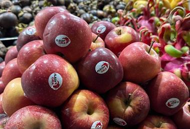 Flash Gala apple in Vietnam