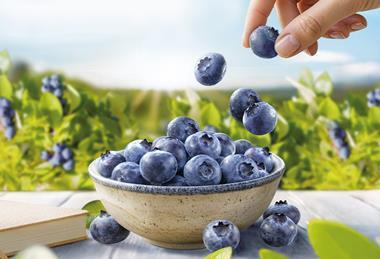 SanLucar blueberries Blue Wonders