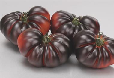 Yuksel Sweetloom tomatoes