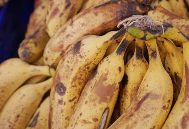 The banana must now undergo checks by the Food Standards Agency