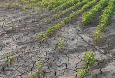 The NFU urged ministers to fast-track water investment and planning reform