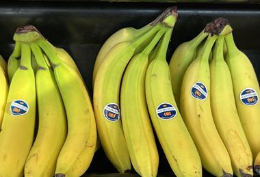 SCB Premium Compagnie Fruitiere bananas