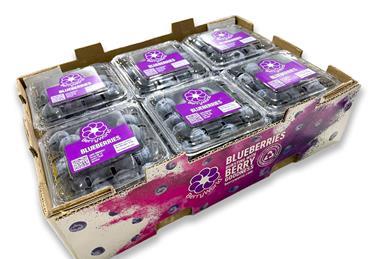 BerryWorld Asia -  China packaging