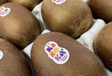 Kikoka kiwifruit Italy