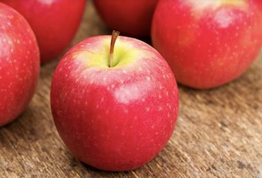 Pink Lady apples closeup Adobe Stock