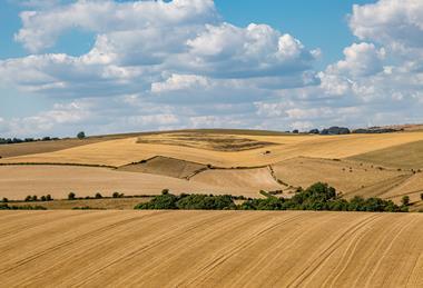 Parts of the UK are facing a second consecutive year of drought