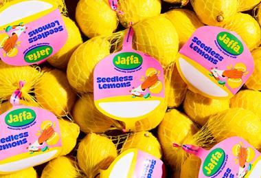Jaffa Seedless Lemons