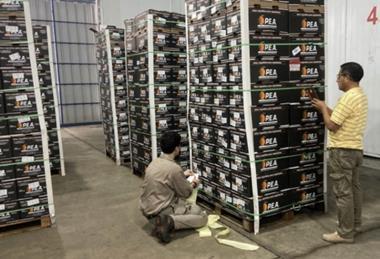 Argentine oranges to Ecuador