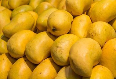 Ataulfo mangoes Adobe Stock