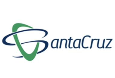 Exportadora Santa Cruz