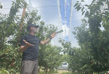 Andrew Wallace screenshot