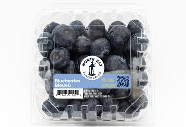 North Bay Produce new logo branding blueberries 2026