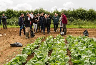 With renewed commitment from ministers, the organic sector is generally optimistic about the plan