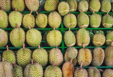 Vietnamese durian Vietnam AdobeStock_962894185