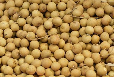 GEN Thai fruit longan background. Longan exotic fruit for sell in street market, Thailand, close up, top view