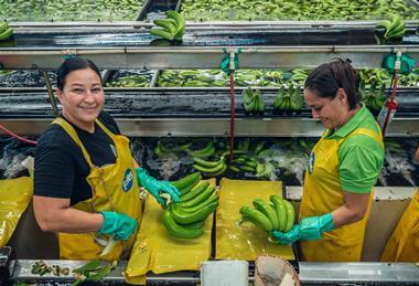 Fyffes Bananas support hundreds of thousands of jobs across Latin America and other production regions