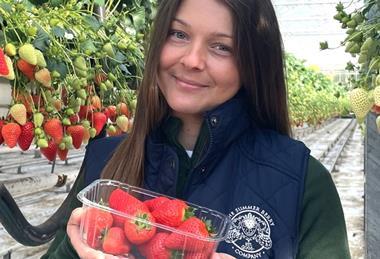 The Summer Berry Company has achieved year-round UK supply