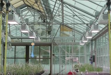 Screen Shot 2018-11-19 at 17.05.48