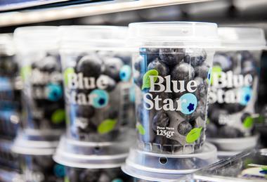 BlueStar blueberries Nobis Fruit Company Ecuador