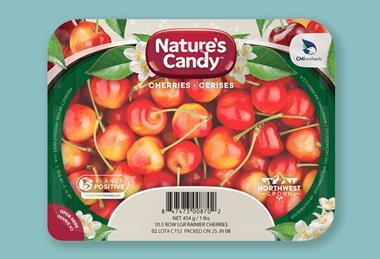 Natures Candy Rainier cherries CMI