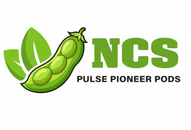The NCS Pulse Pioneer Pods logo