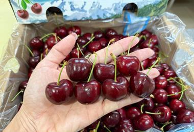 Chilean cherries to India