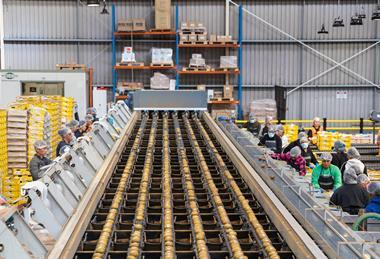 Seeka kiwifruit packhouse
