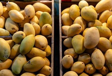 VN mangoes