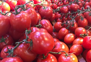 Tomatoes