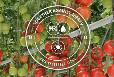 Axia Vegetable Seeds ToBRFV