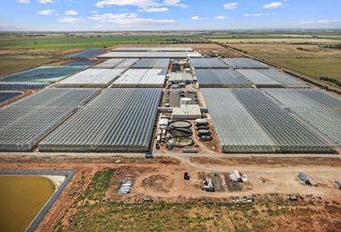 Perfection Fresh Two Wells