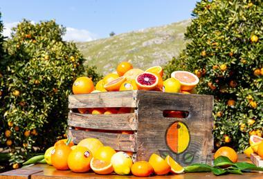 Sunkist mixed citrus in wooden box