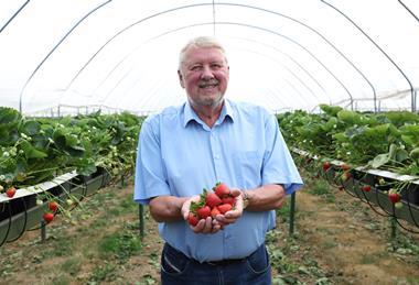Nick Marston has been a kingpin of the British berry industry for more than two decades