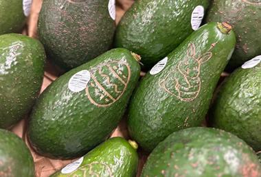 Costa laser etched avocados Easter promotion