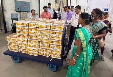 IN Credit Ministry of Commerce Piyush Goyal Beura Farmer Producer Company mangoes India
