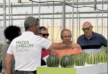Semillas Fito melon and watermelon show