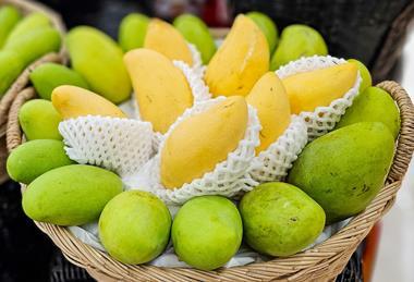 Thai mangoes