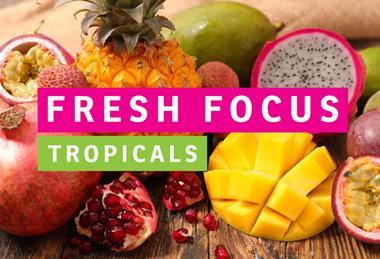 FFTropicals website pic