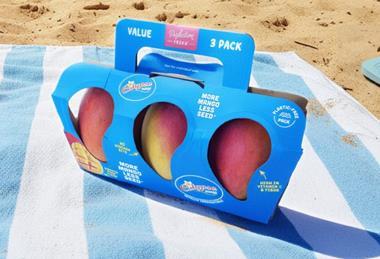 Calypso cardboard packaging